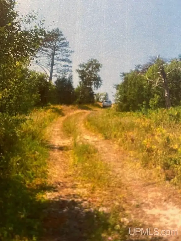 Picture 14
