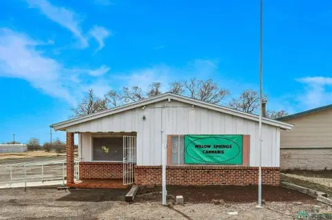 NNN Corner Commercial Building