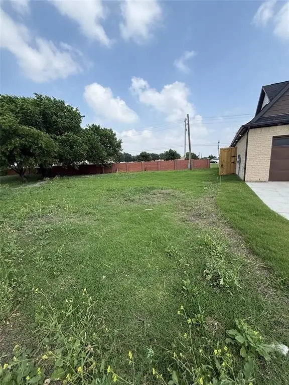 Picture 6