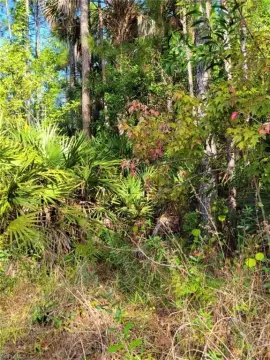Residential Land in Naples, FL