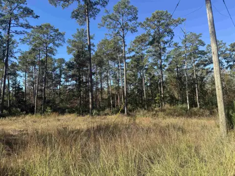 Lake Sam Rayburn Homesite Opportunity
