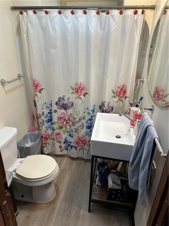 Picture 5