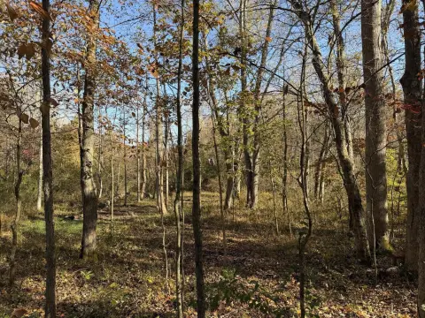 Wooded Land in McKee, Kentucky