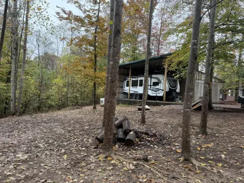 Wooded Lot with Storage Building