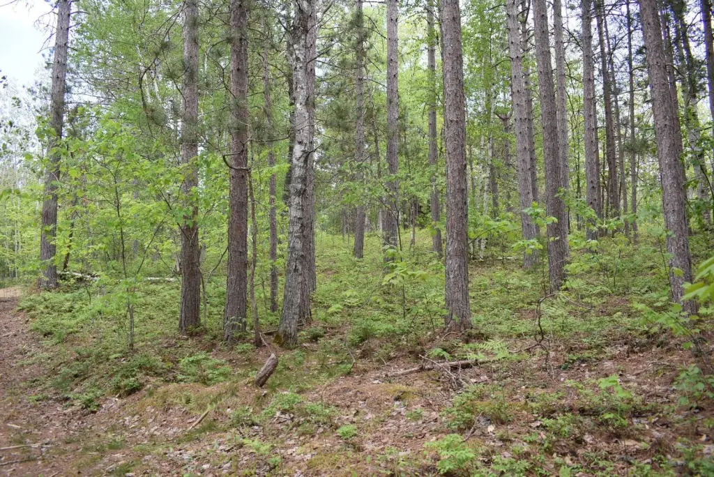 Picture 17