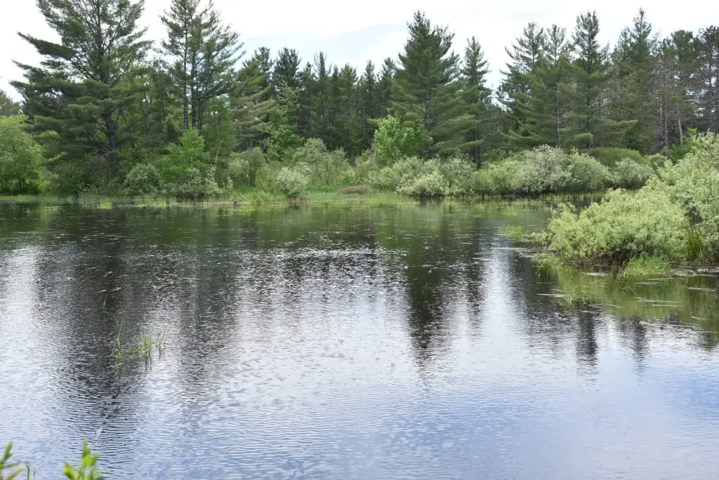 Picture 8