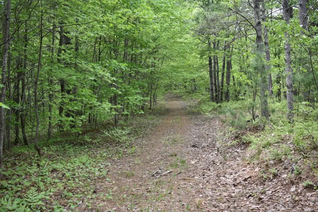 Picture 18