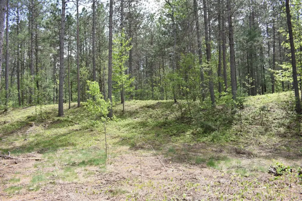 Picture 27
