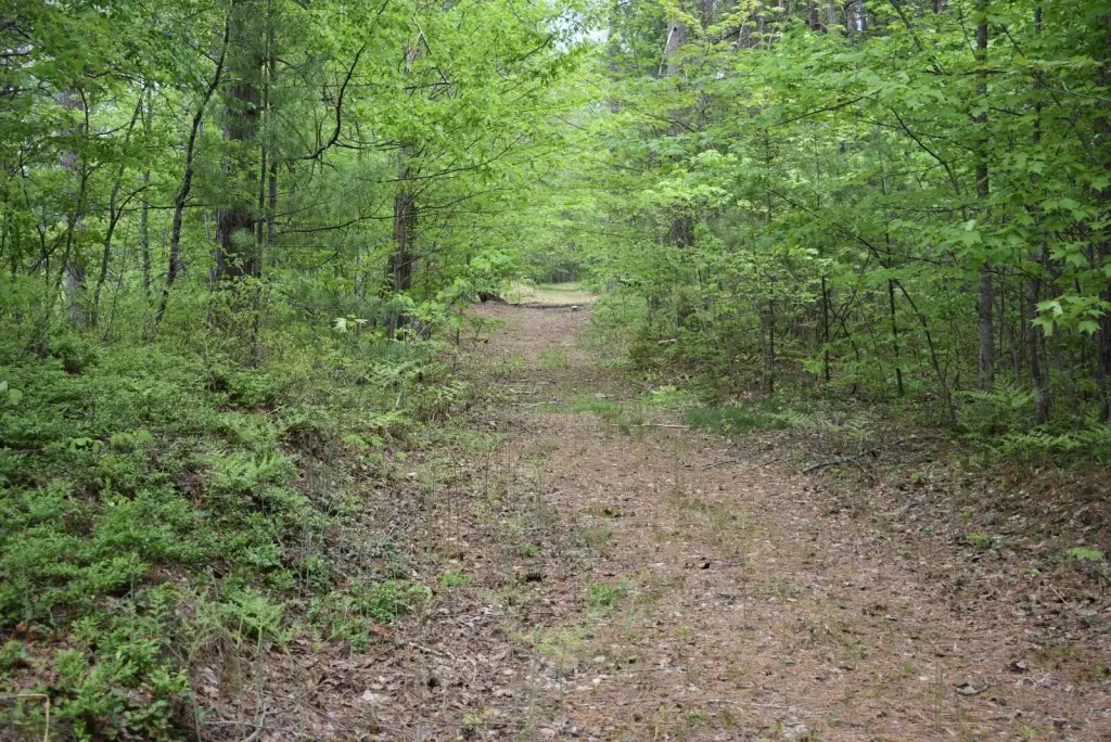 Picture 16