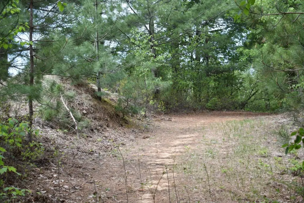 Picture 35