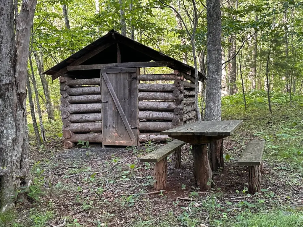 Picture 11