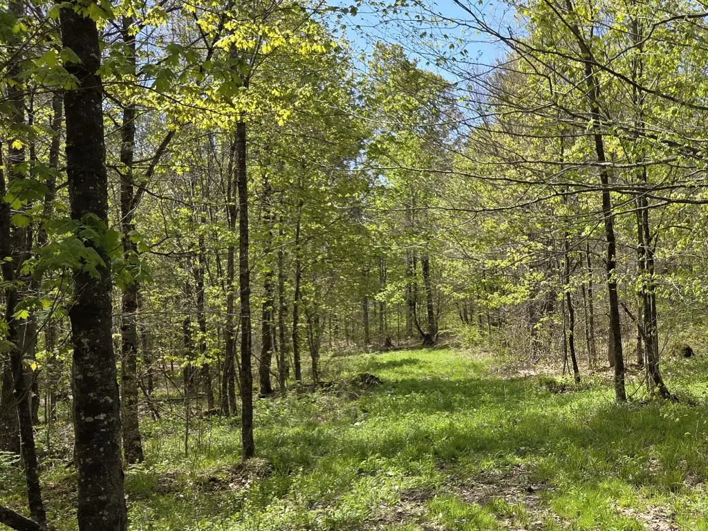 Picture 25