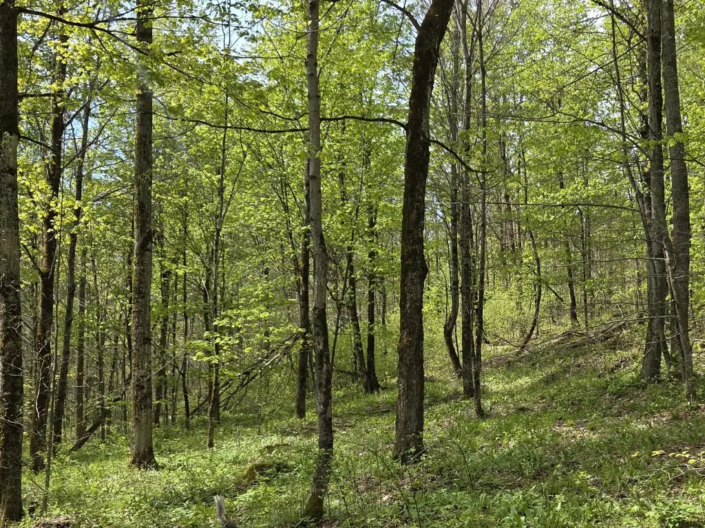 Picture 32