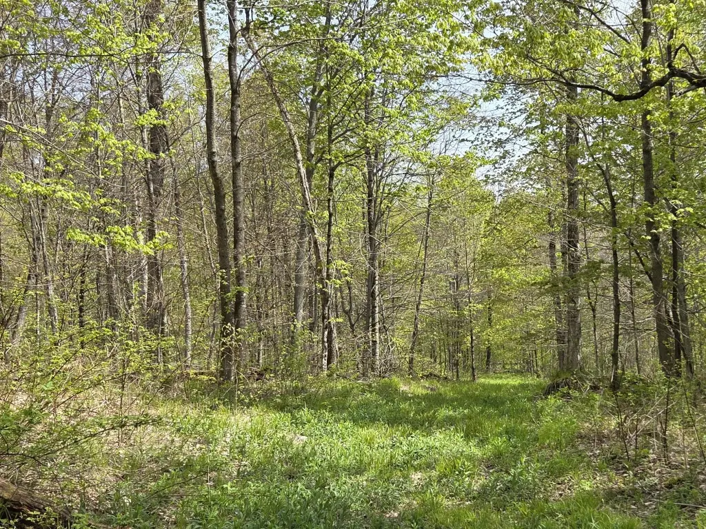 Picture 29