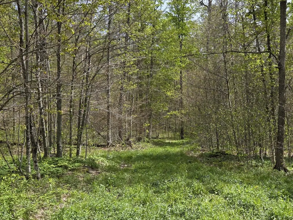 Picture 22