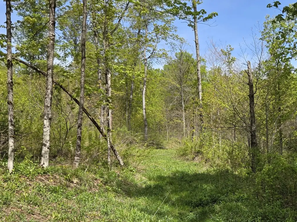 Picture 30