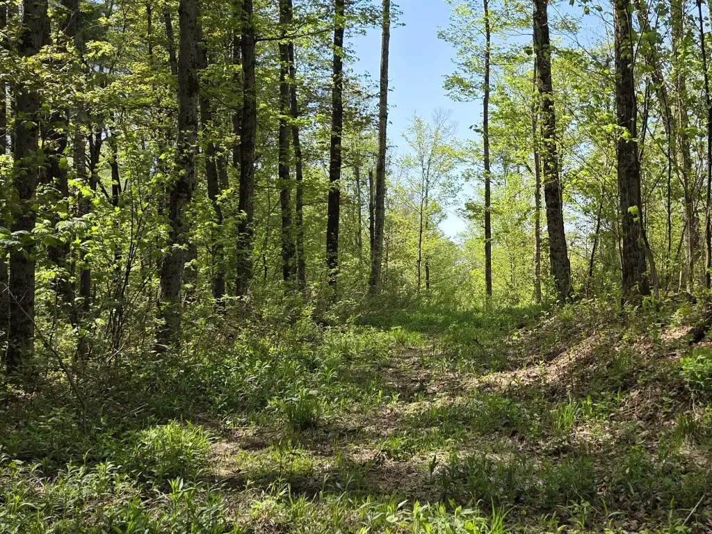 Picture 17