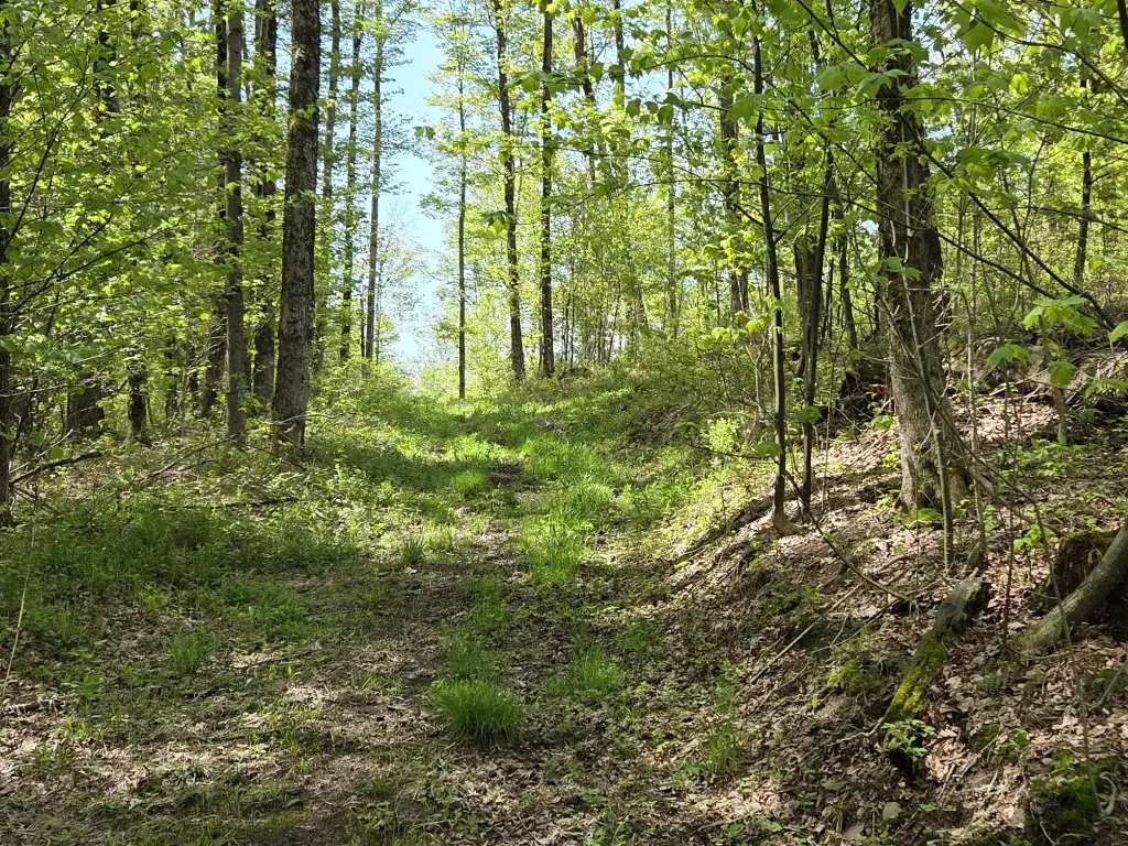 Picture 8