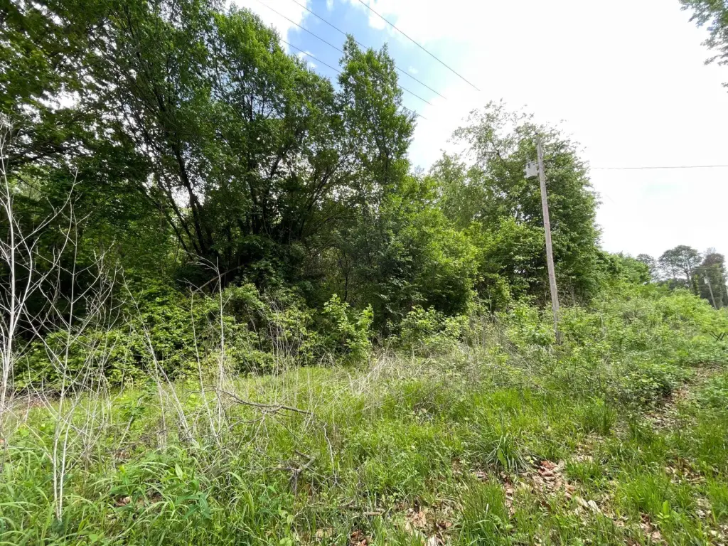 Picture 15