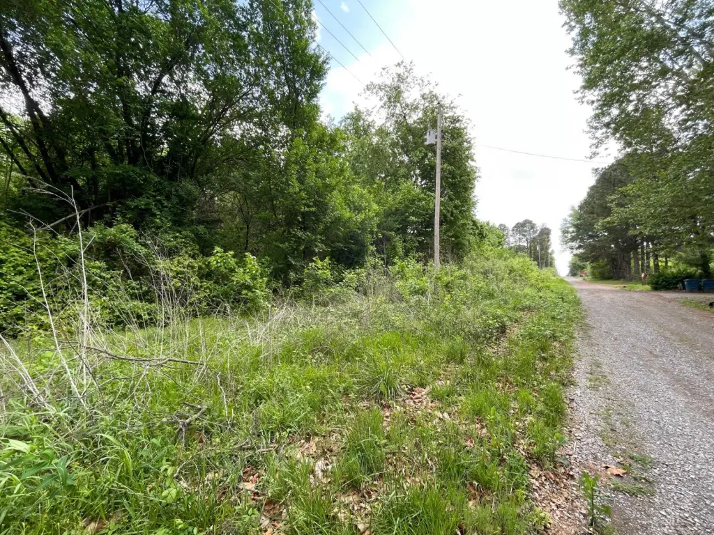 Picture 14