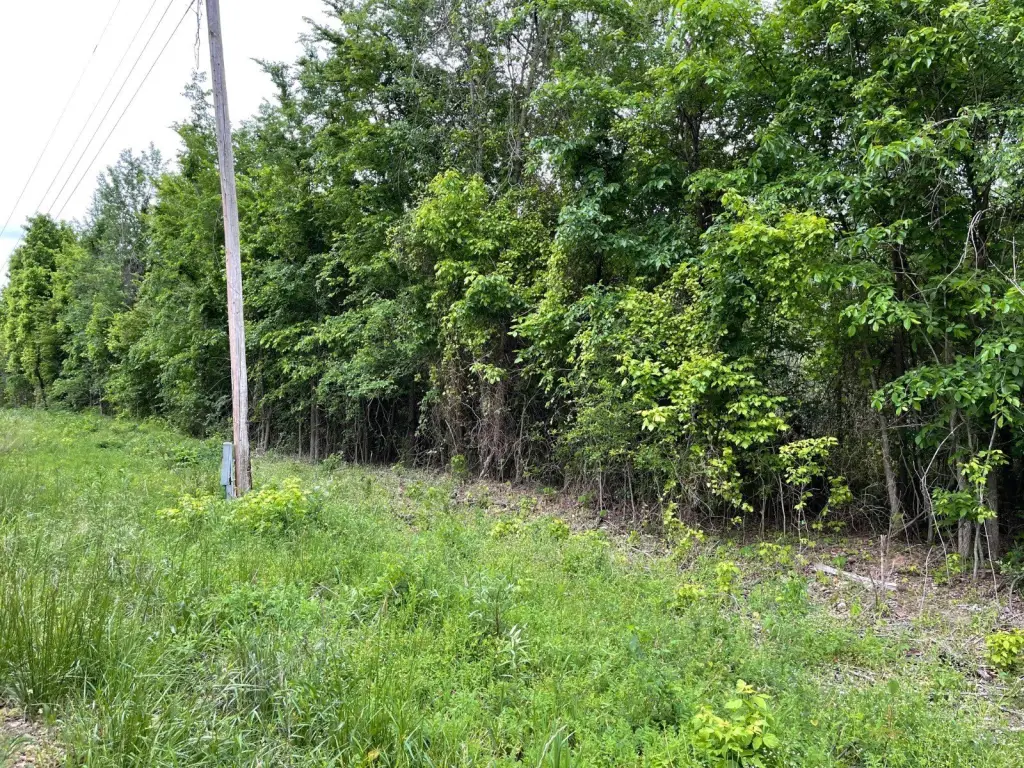 Picture 21