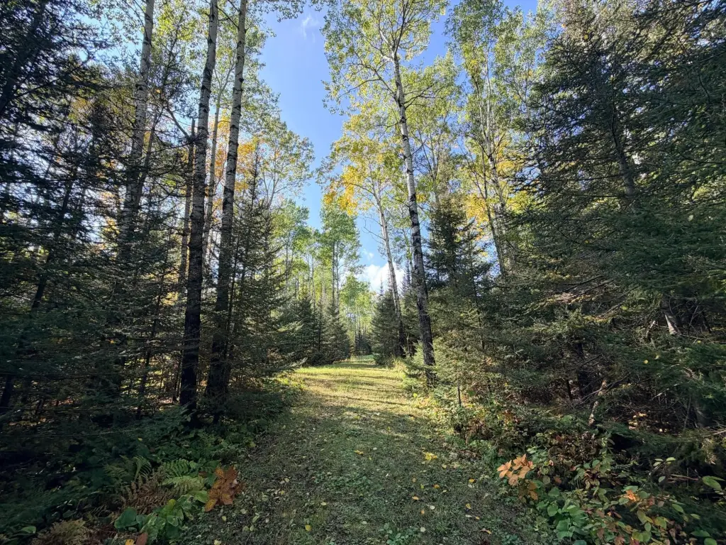 Picture 21