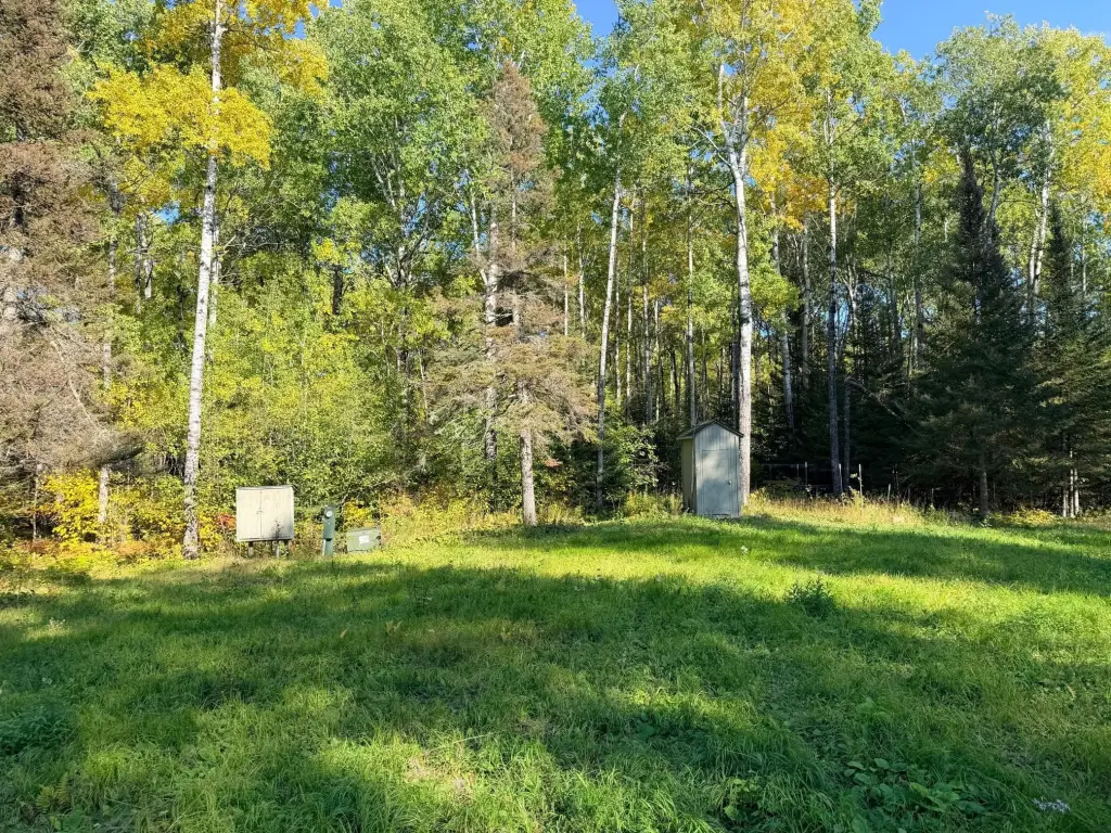 Picture 29