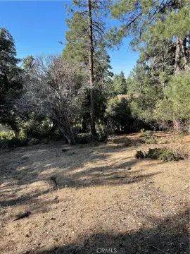 Idyllwild Land for Dream Getaway