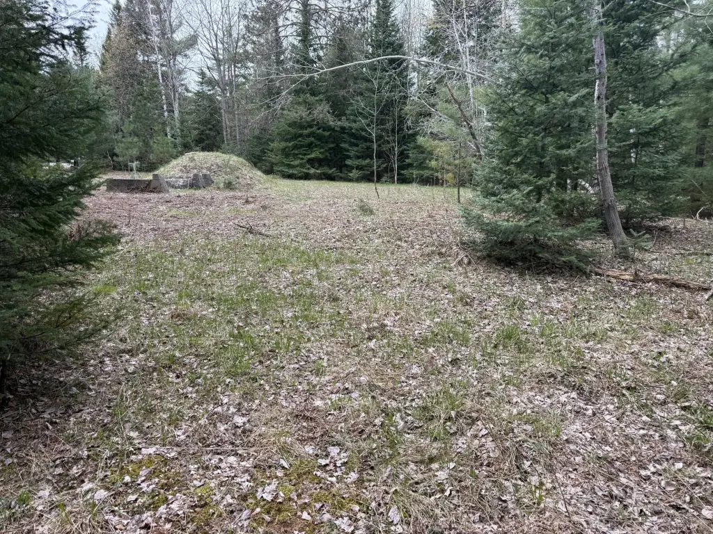Picture 13