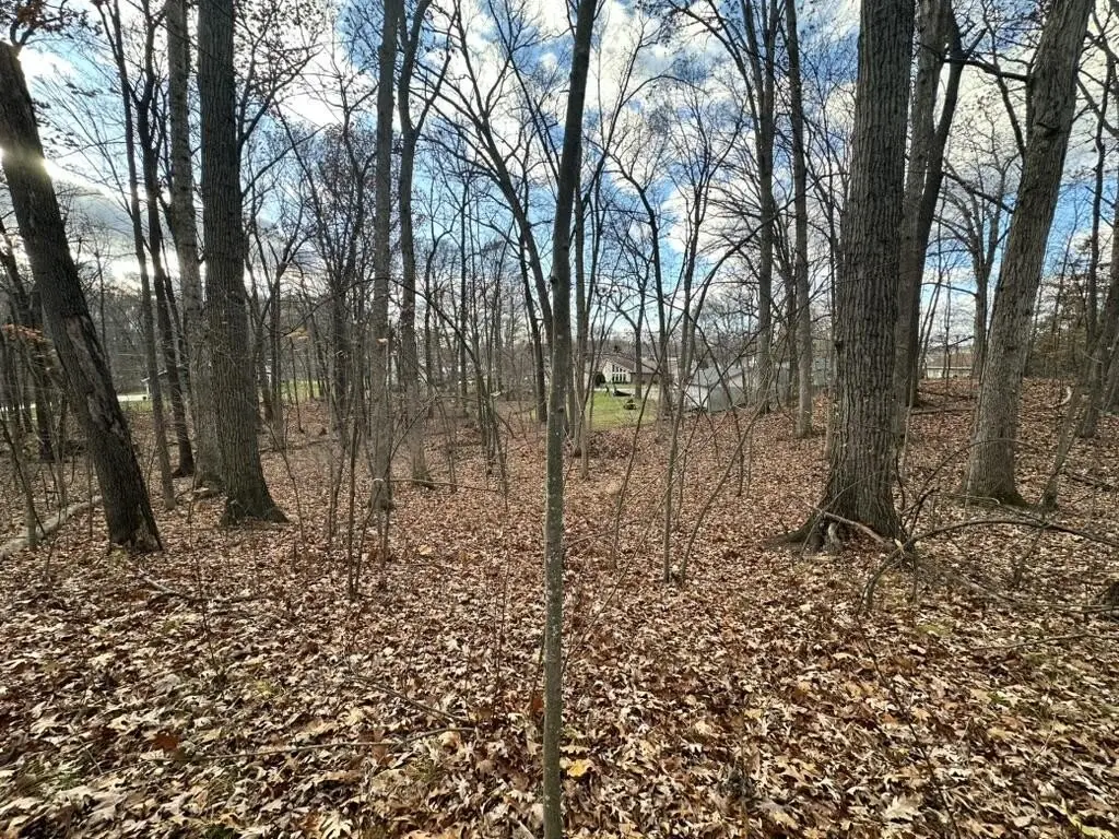 Picture 6
