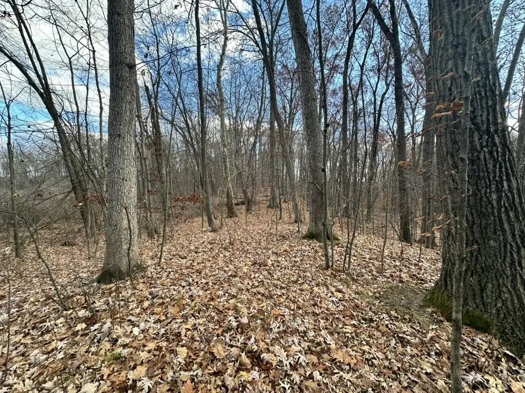 Picture 7