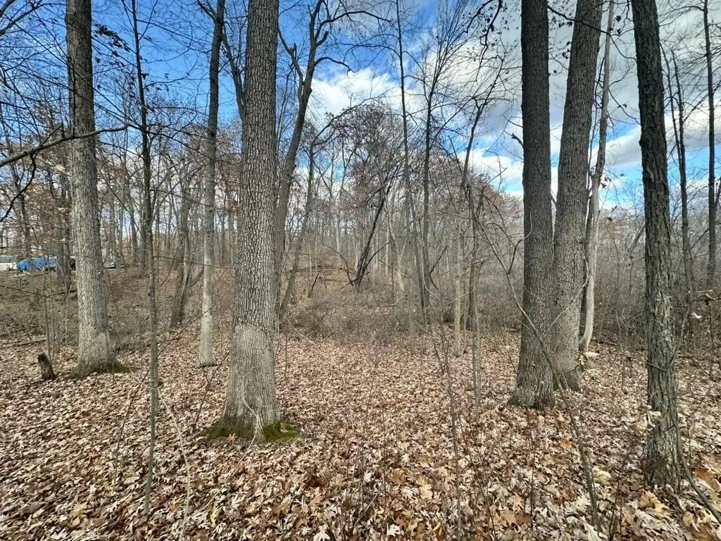 Picture 8