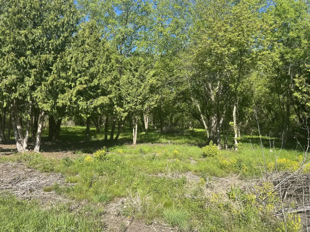 Picture 2