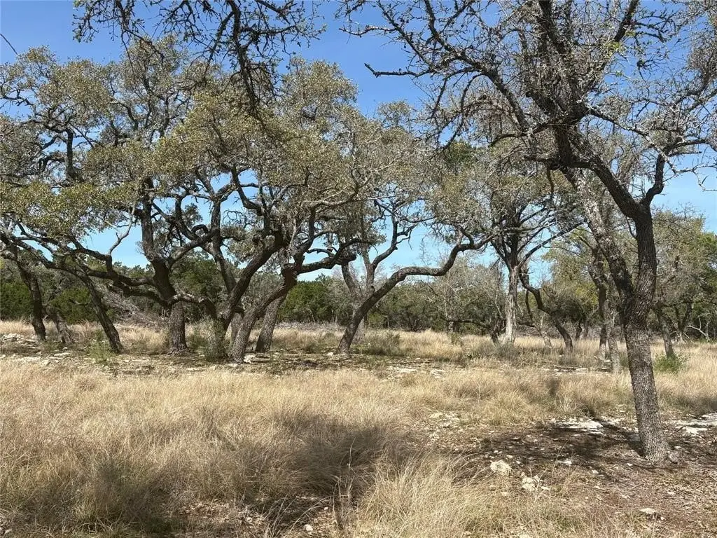 Picture 21
