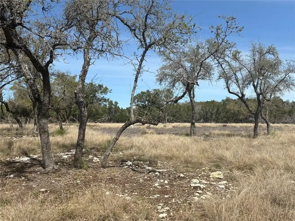 Picture 22