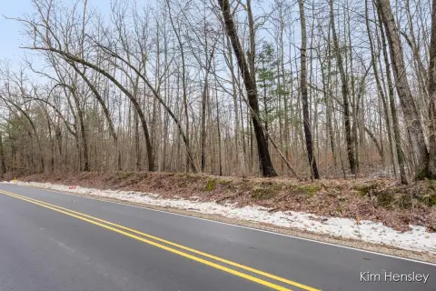 Secluded 10-Acre Wooded Land