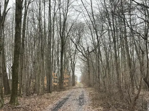 Secluded Hunting Land Near Paw Paw