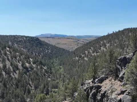 730 Acres Vacant Land