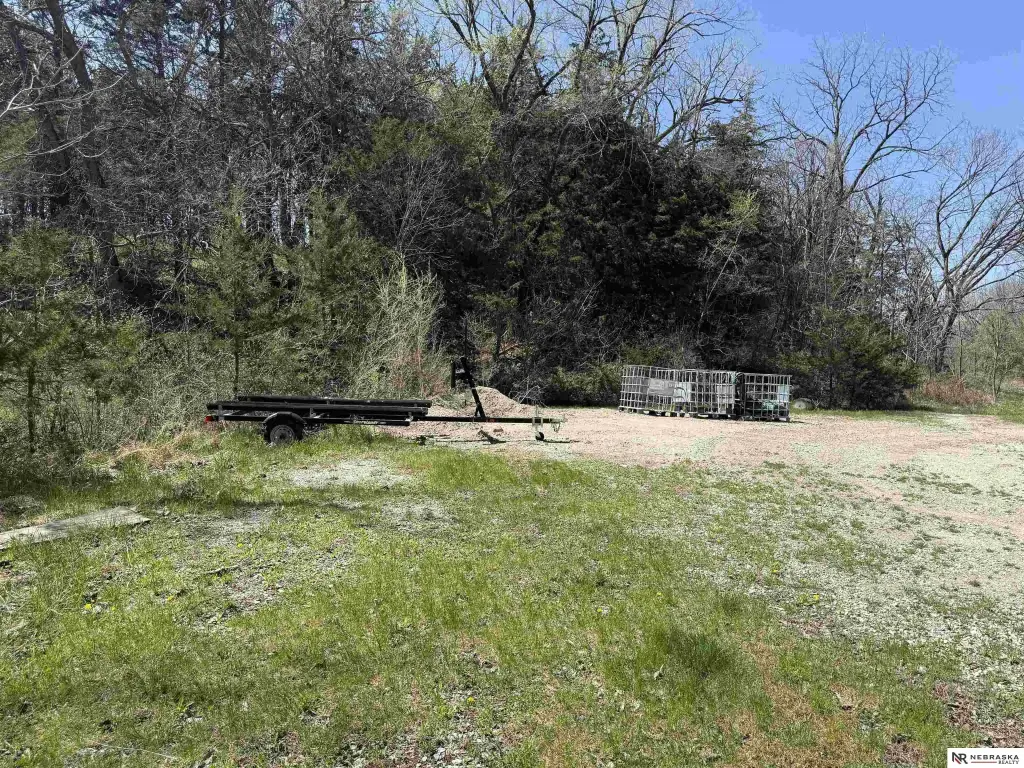 Picture 4
