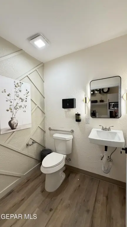 Picture 15