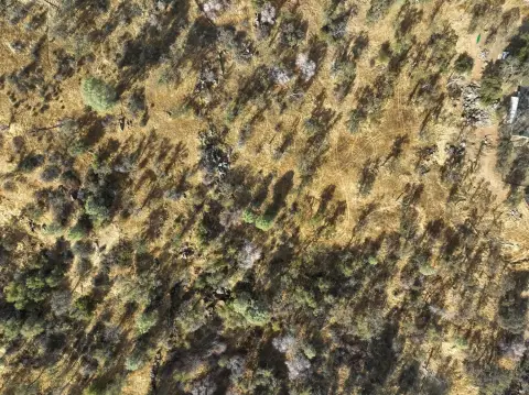 Yosemite Lakes Park Land Parcel