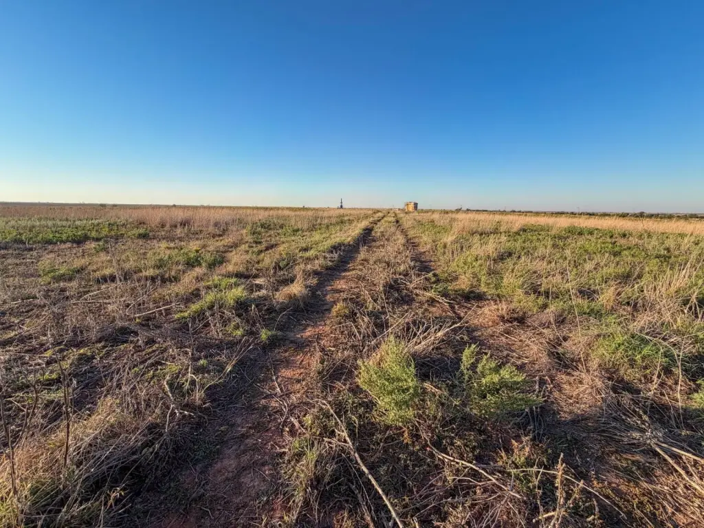 Picture 38
