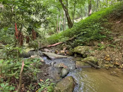 Unrestricted Mountain Waterfront Land
