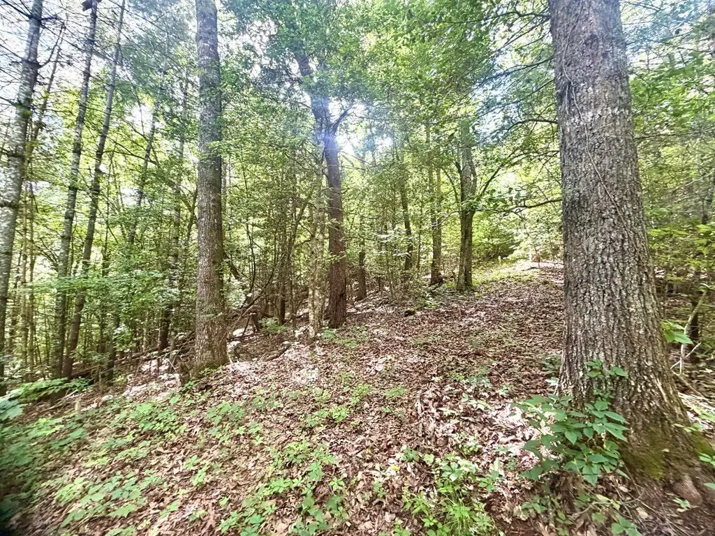 Picture 12