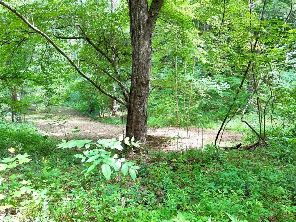 Picture 8