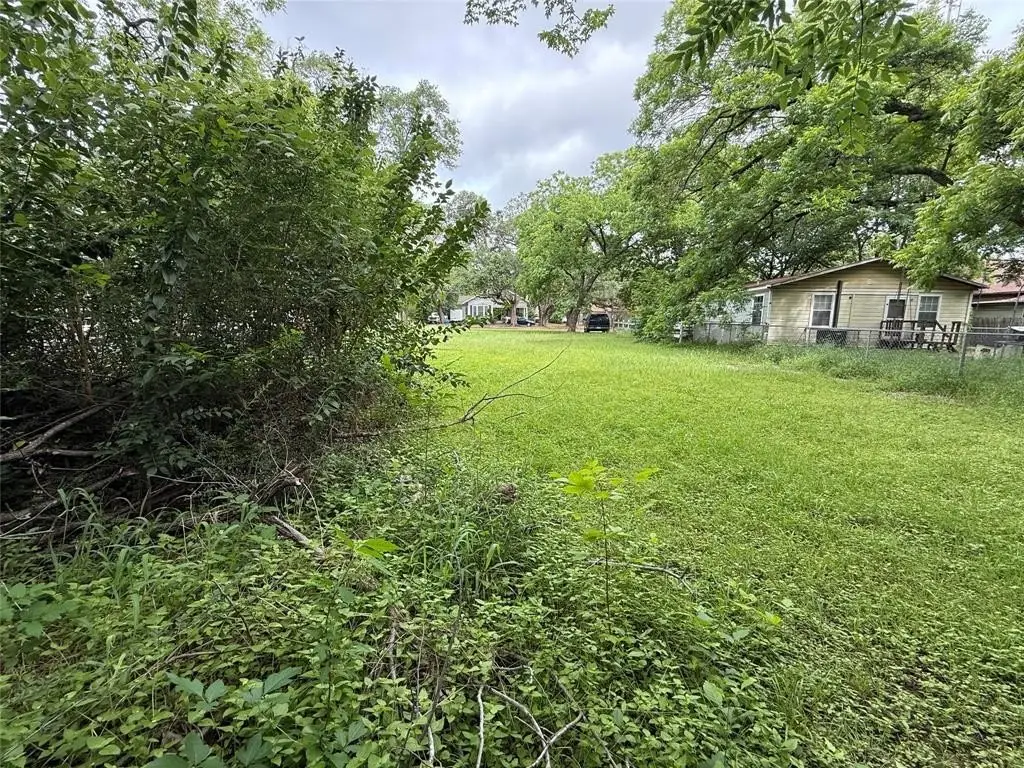 Picture 20