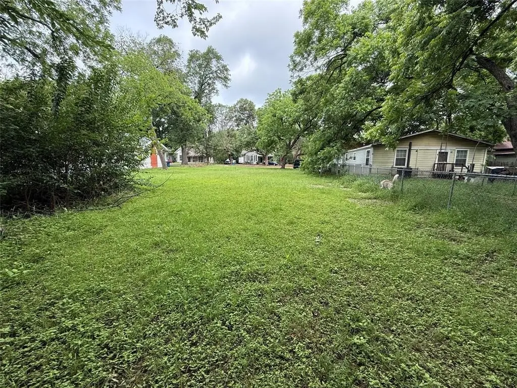 Picture 17