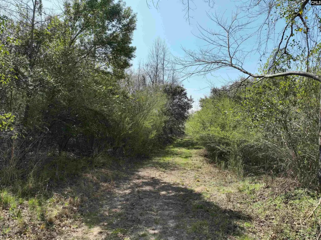 Picture 22