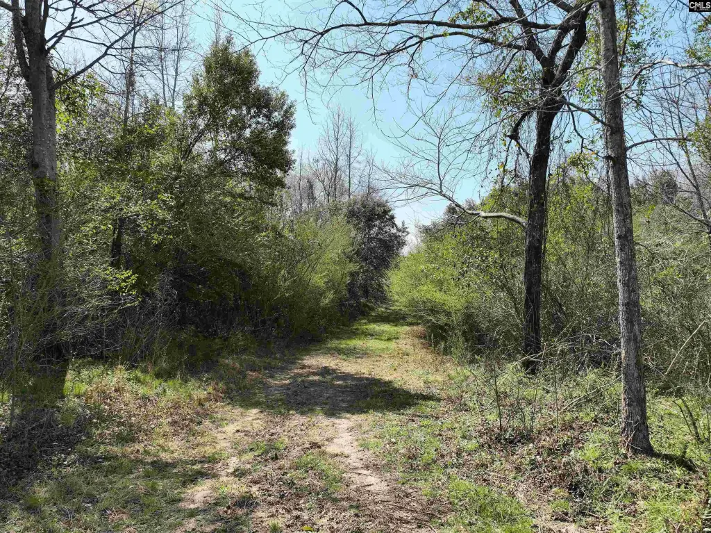 Picture 21