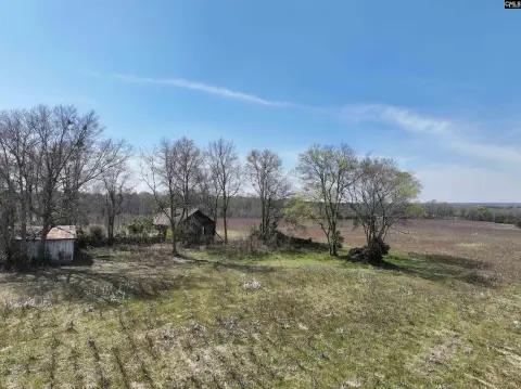 Agricultural Land Tract with Farm Pond